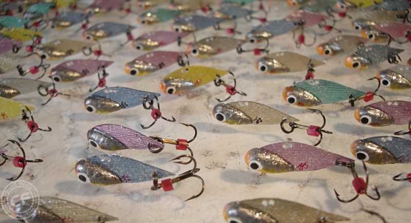 cykady szuszkiewicza